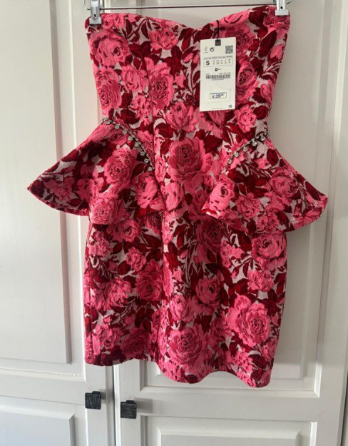 Robe Zara collection limitée